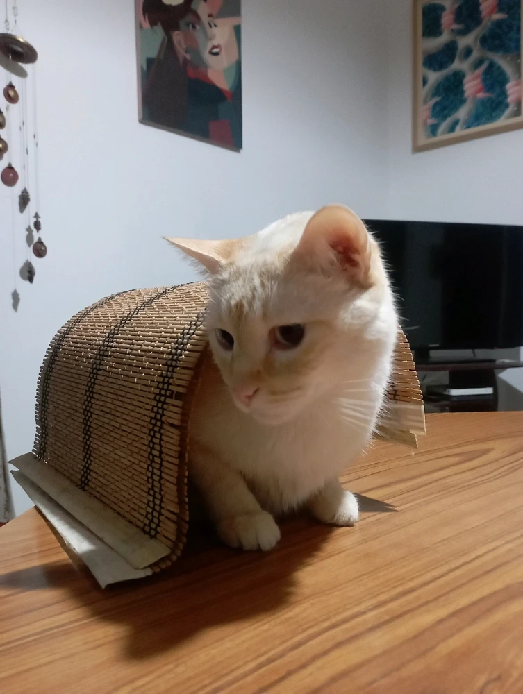 Imagen subida por Nico