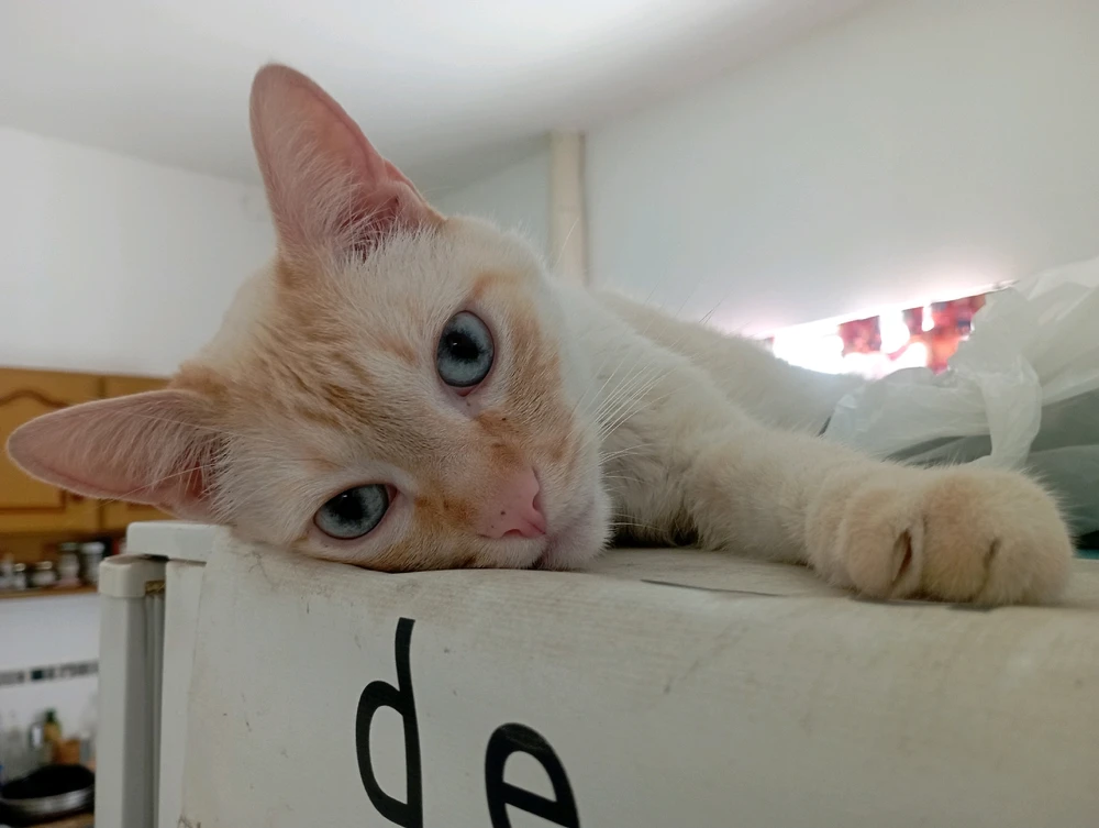 Imagen subida por Nico