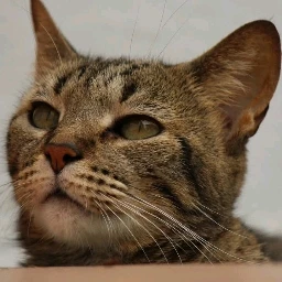 Imagen subida por Nico