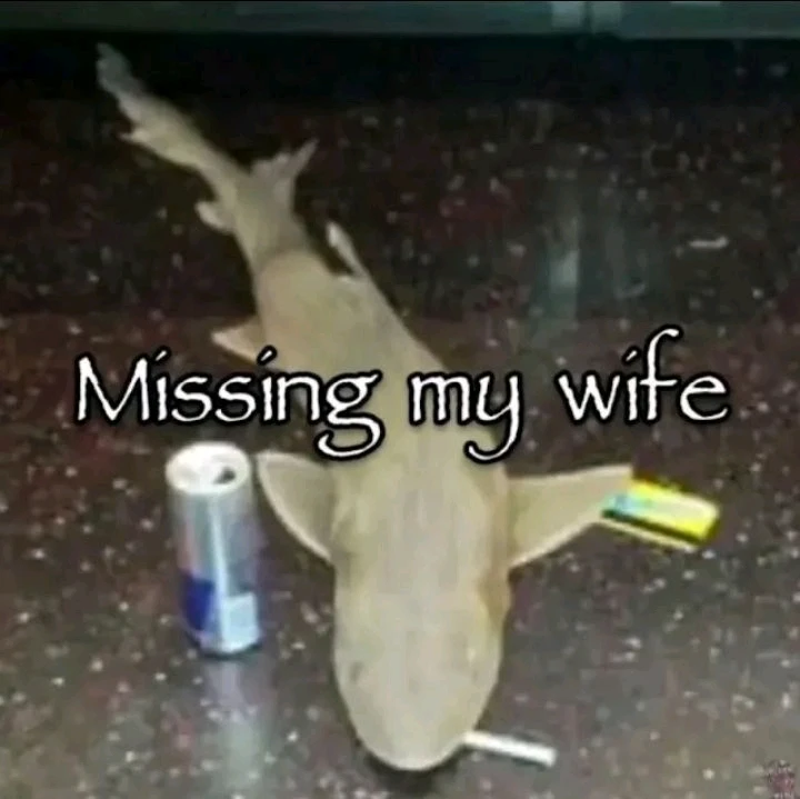 GIF uploaded by Megh