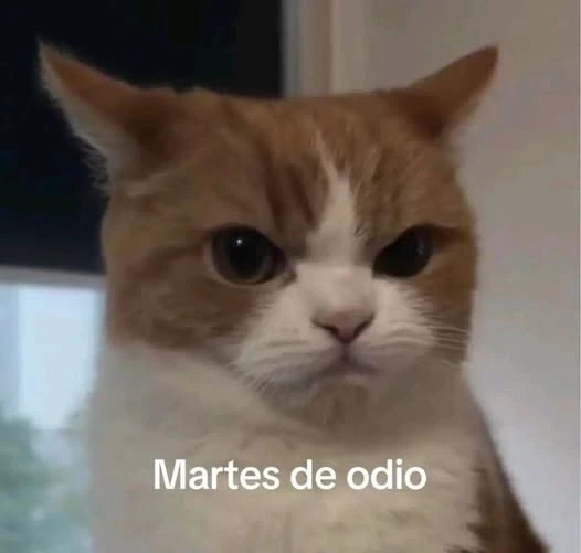 Imagen subida por Yamir