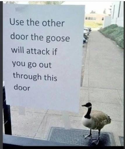 Image uploaded by Waynez