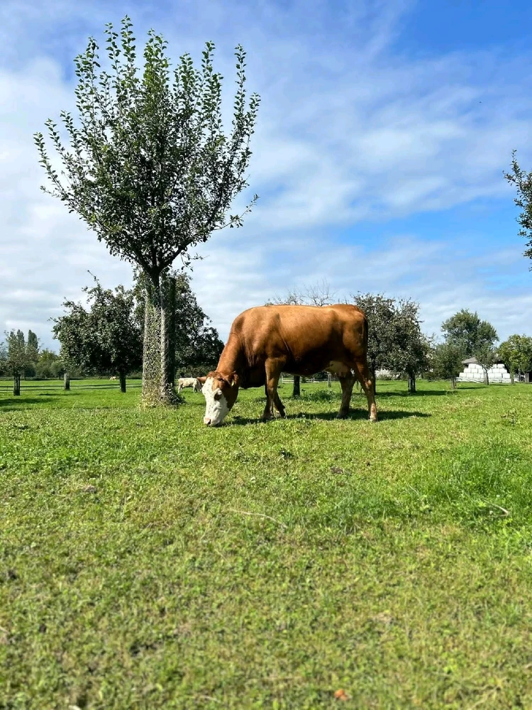 GIF uploaded by LITA