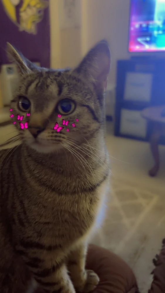 GIF uploaded by Daniel