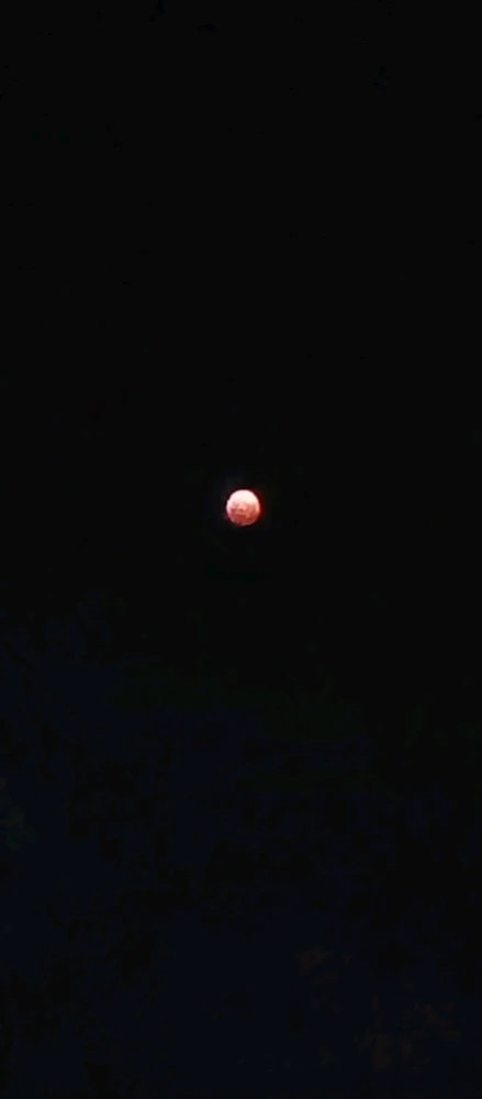 Image uploaded by Gilbert