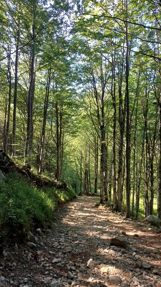 GIF caricata da Luke