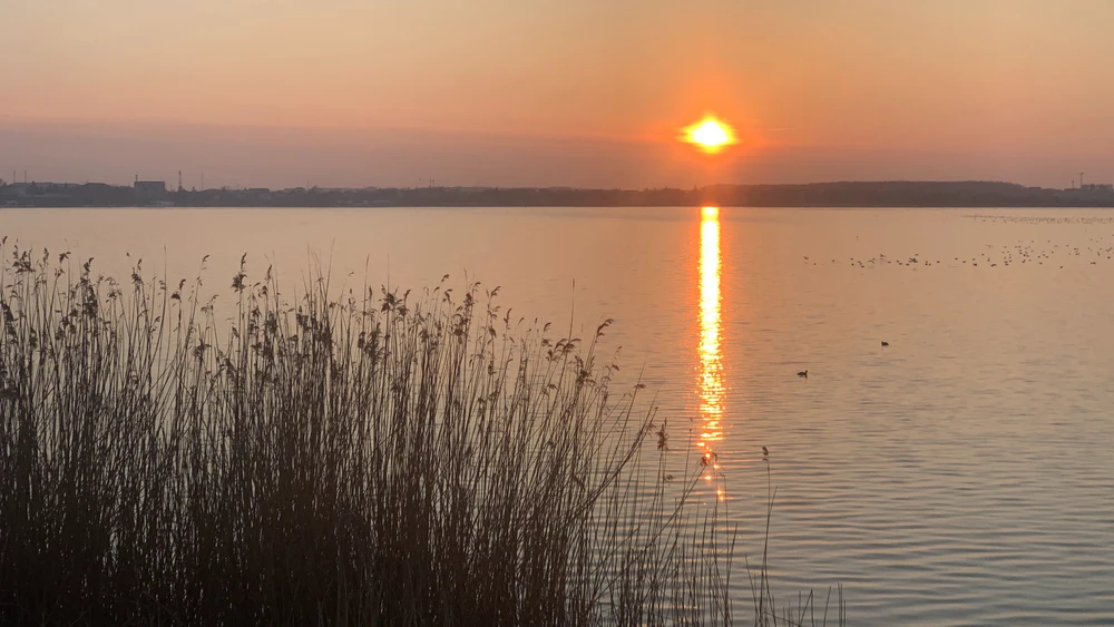 GIF uploaded by Gabi