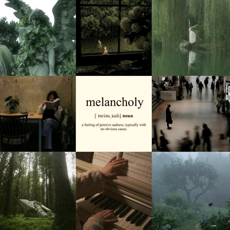 GIF uploaded by Shannon