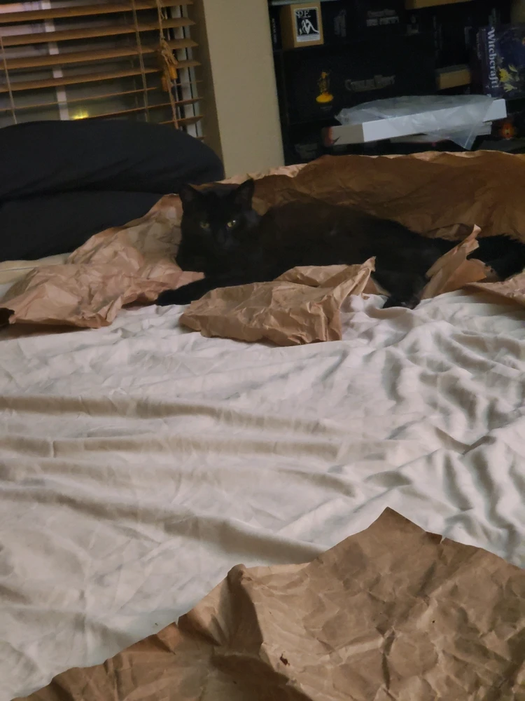 GIF uploaded by Lonny