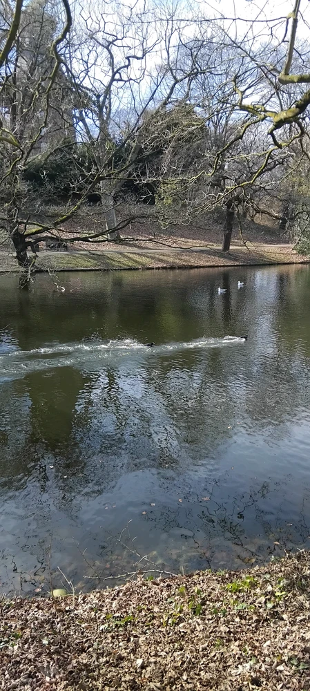 GIF uploaded by Ahmed