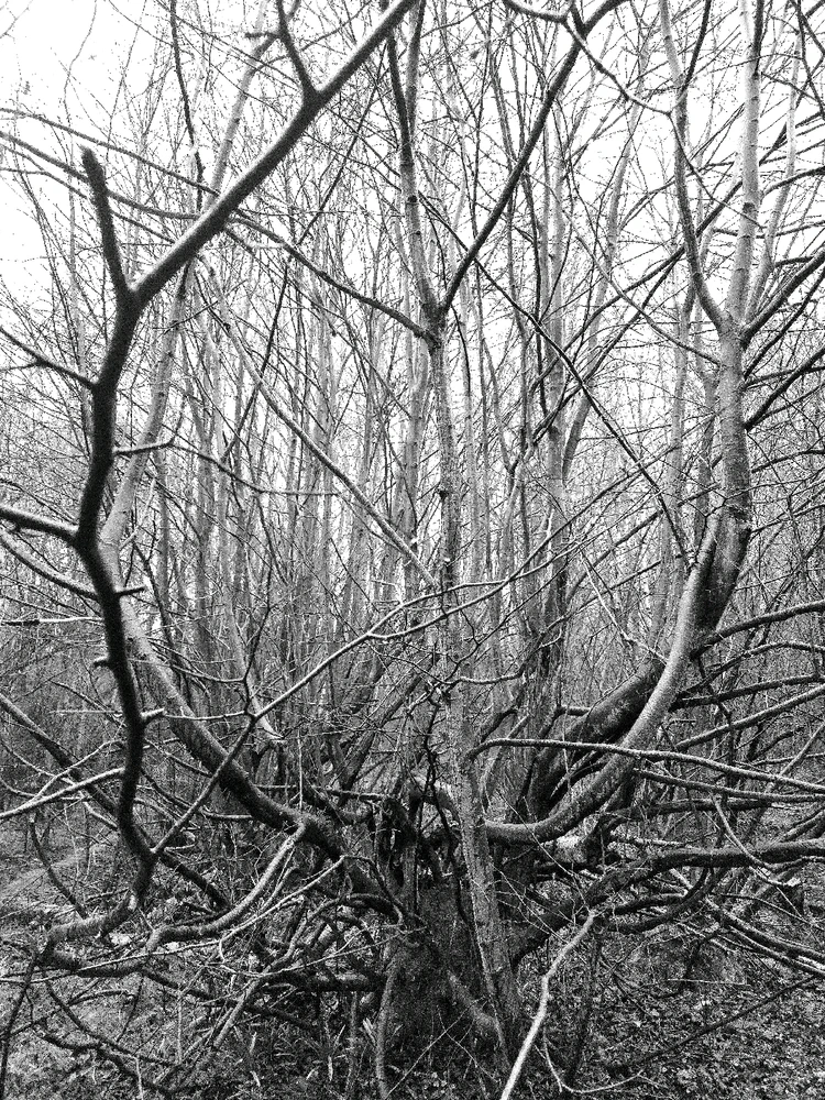 GIF uploaded by Sacha