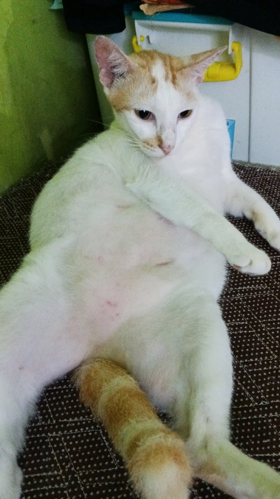 GIF uploaded by Hanif