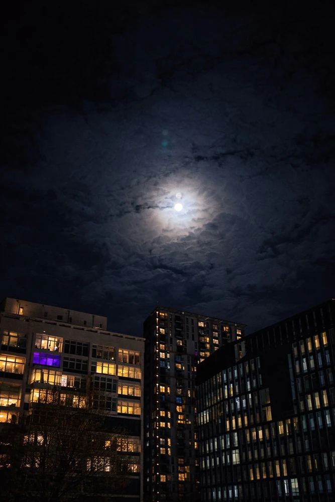 Image uploaded by Dan