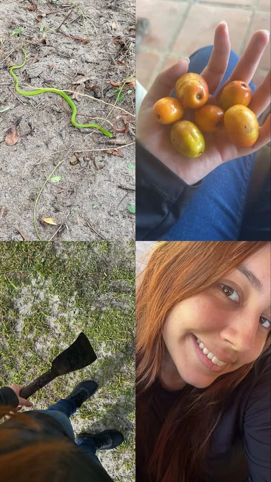 Imagem enviada por Nathy