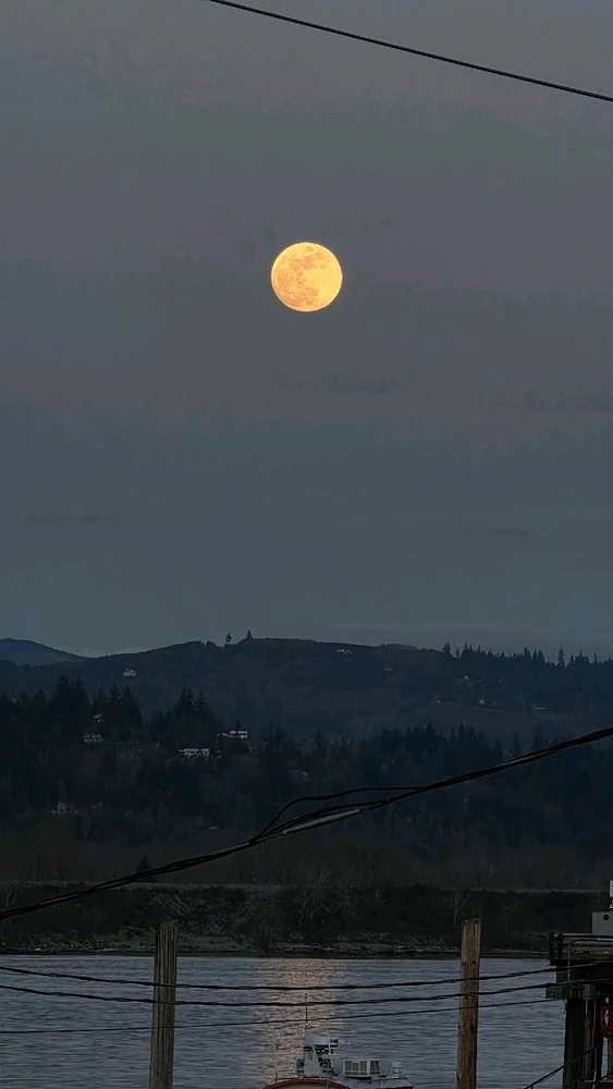 GIF uploaded by AlwaysSkeptical