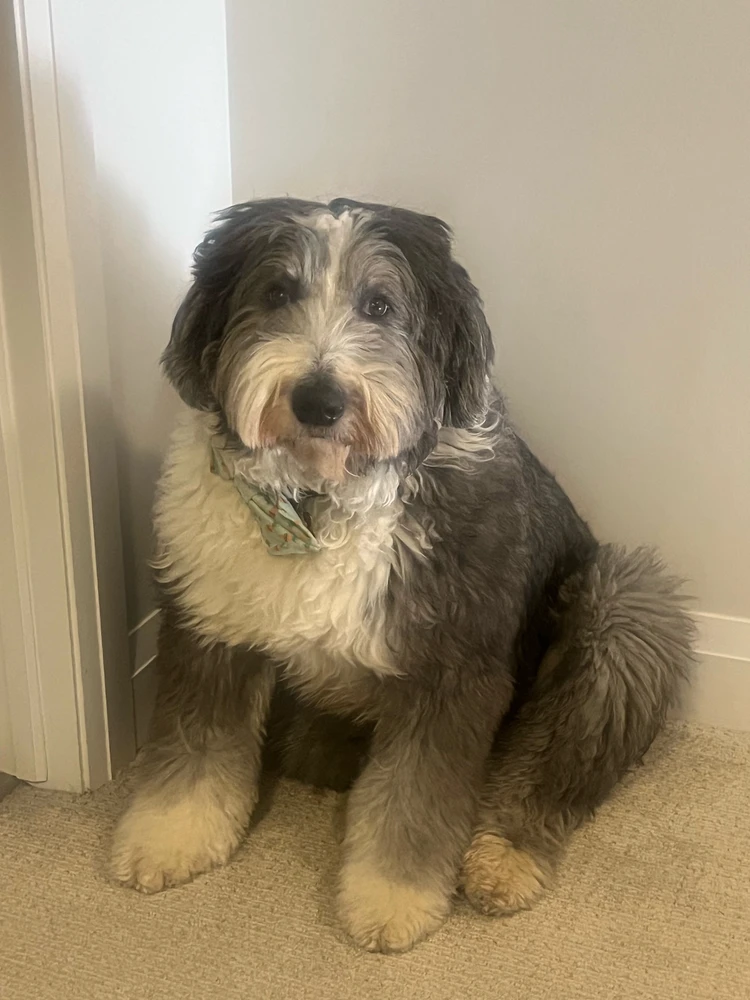 GIF uploaded by Arun