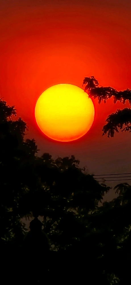 GIF uploaded by D'Sean