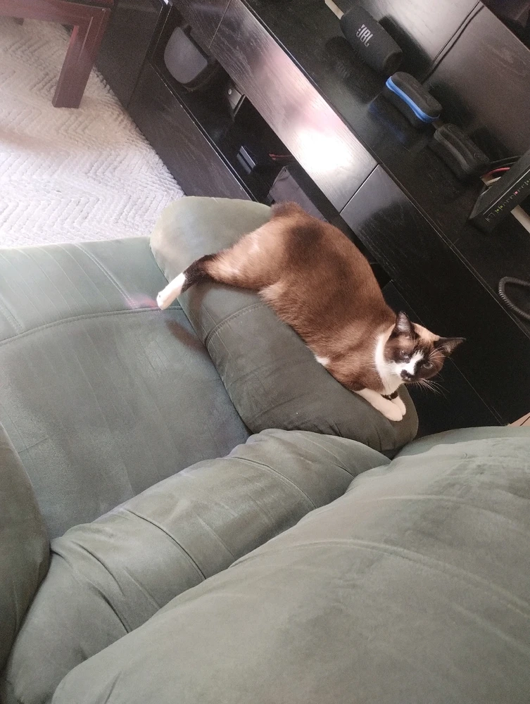 GIF enviado por Valéria