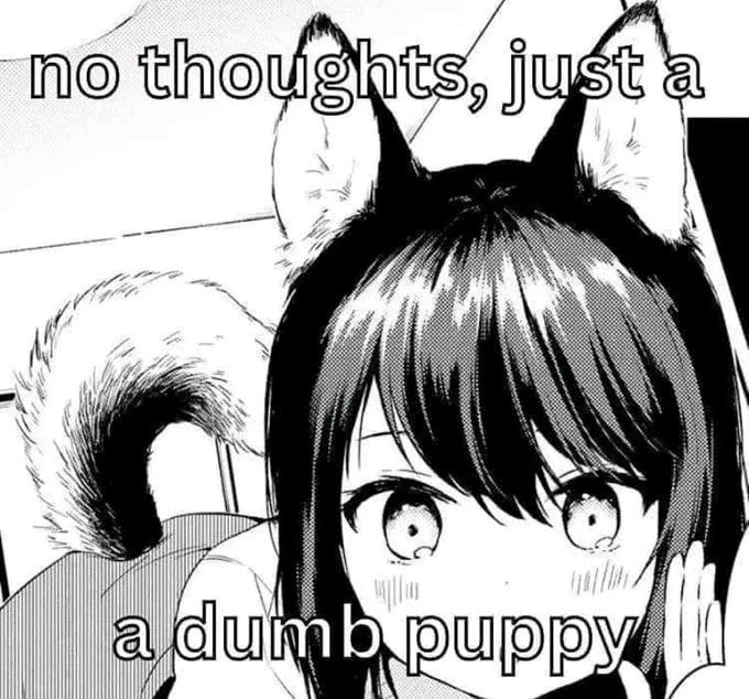 Image uploaded by Juniper