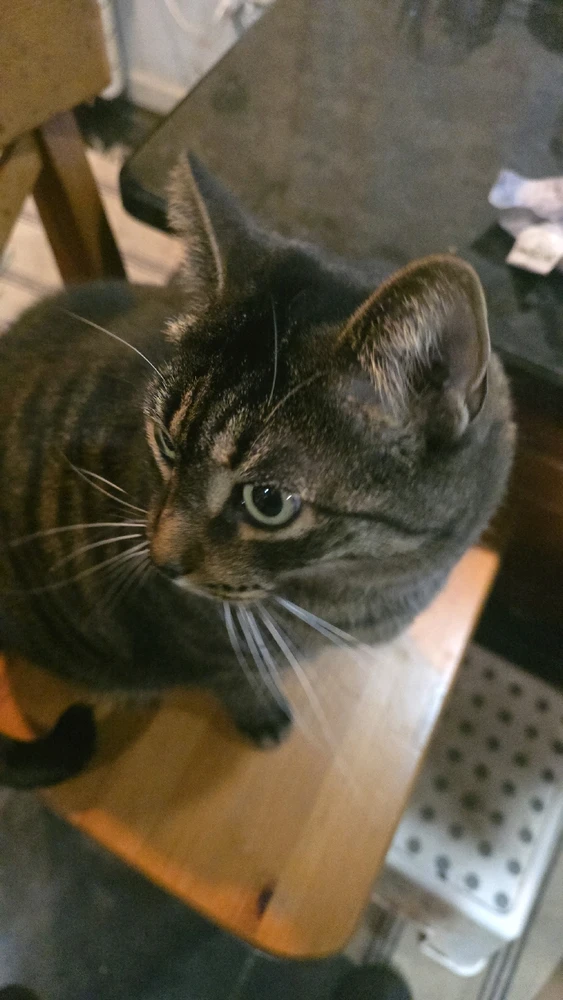 Image uploaded by Tarik