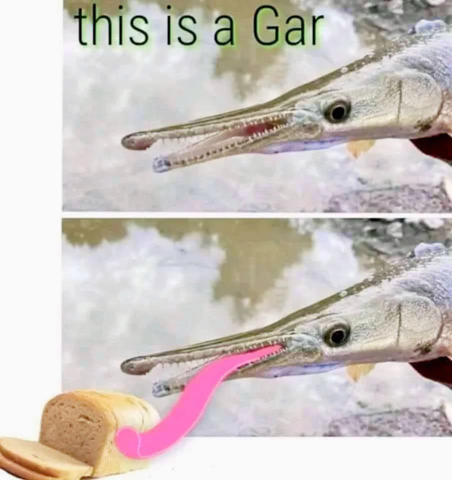 GIF uploaded by Devon