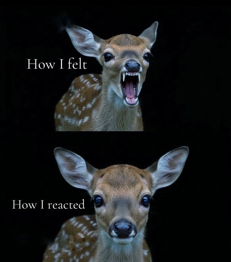 GIF uploaded by Mademoiselle Amy