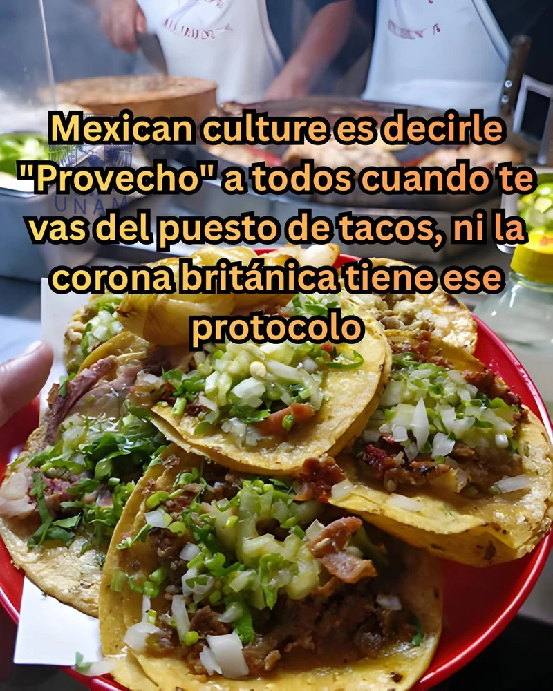 Imagen subida por Oscar P