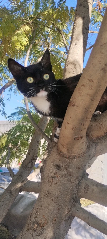 GIF uploaded by Fuyu