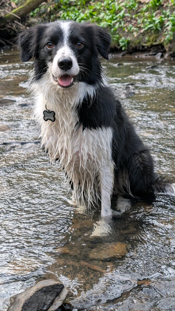 GIF uploaded by Mike