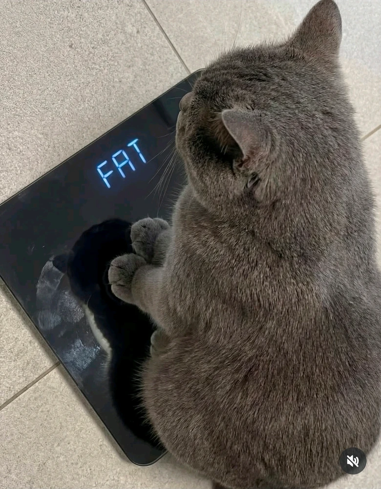 GIF uploaded by Isaiah