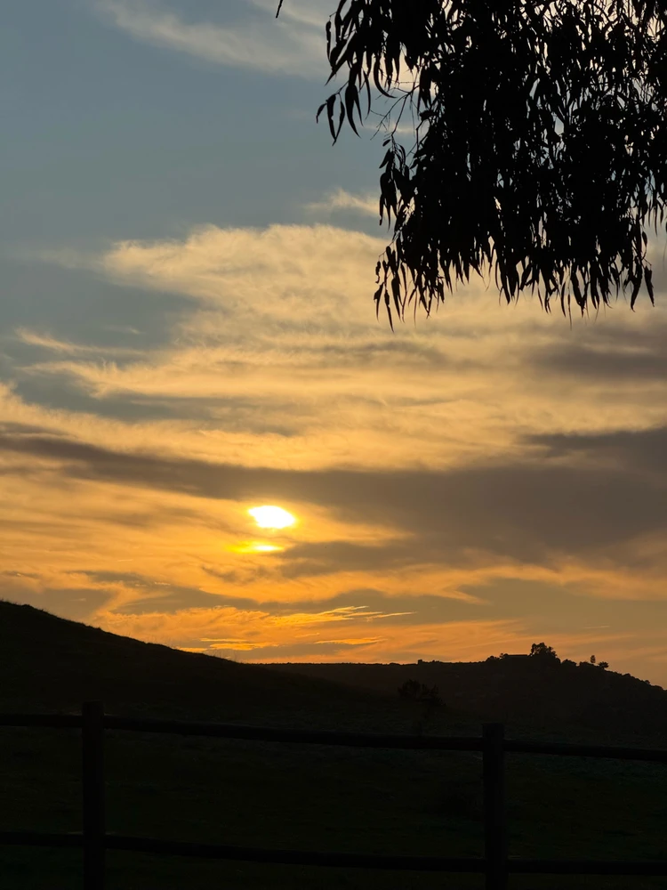 Gambar diunggah dening Guy-O-Blanco