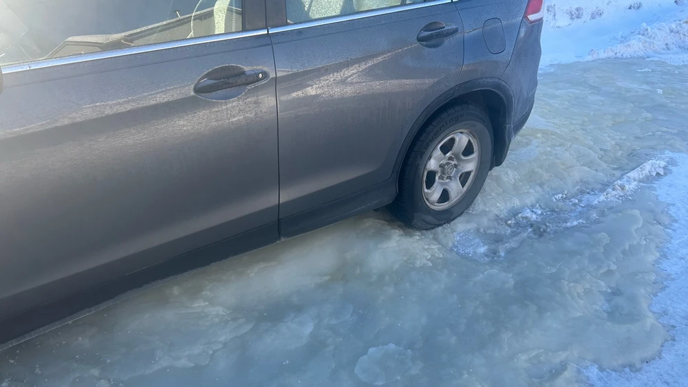 Image uploaded by Matthew