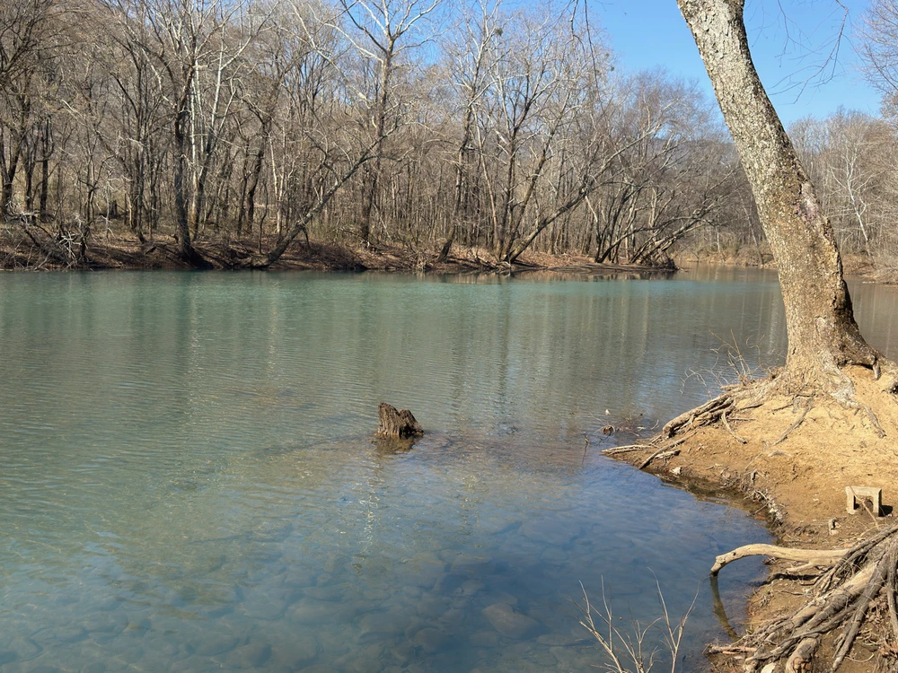 Image uploaded by Ethan