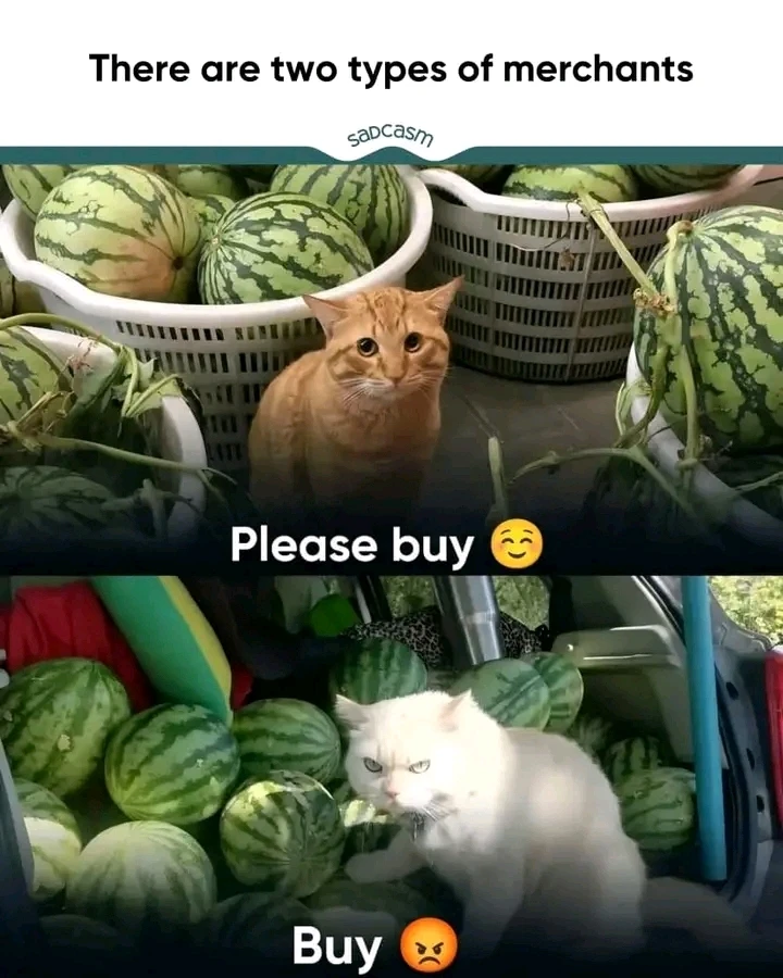 GIF uploaded by Keulodine Neun