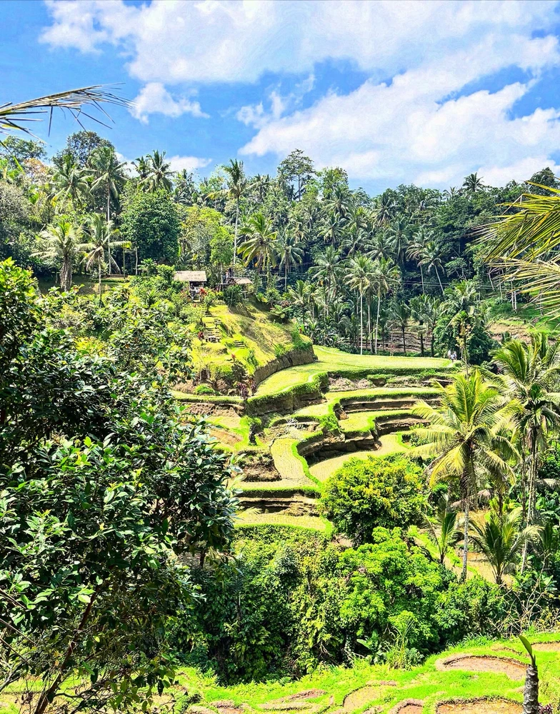 GIF uploaded by Ashli