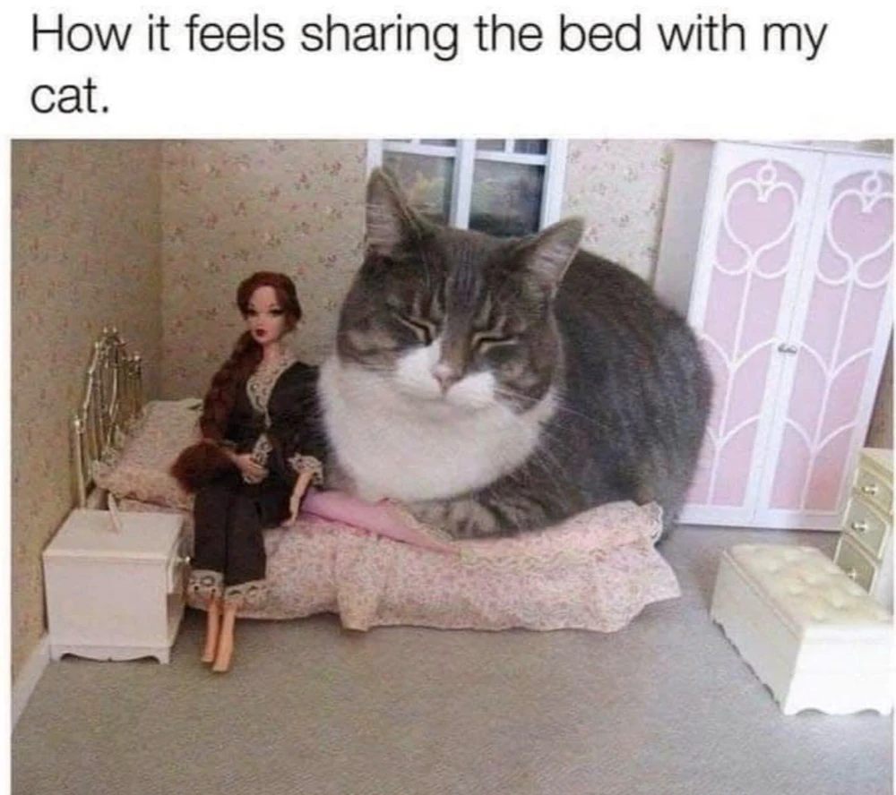 GIF uploaded by bellissima