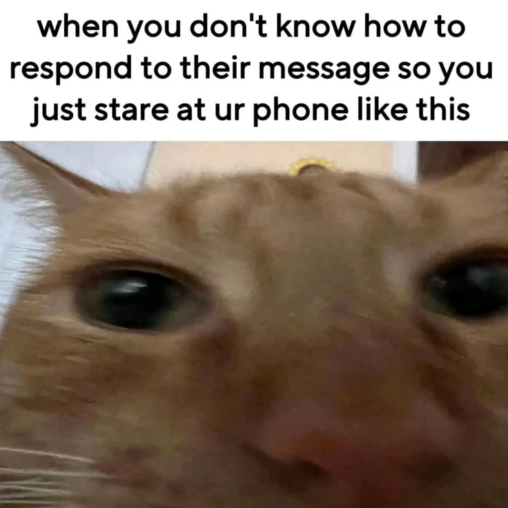 GIF uploaded by Azee