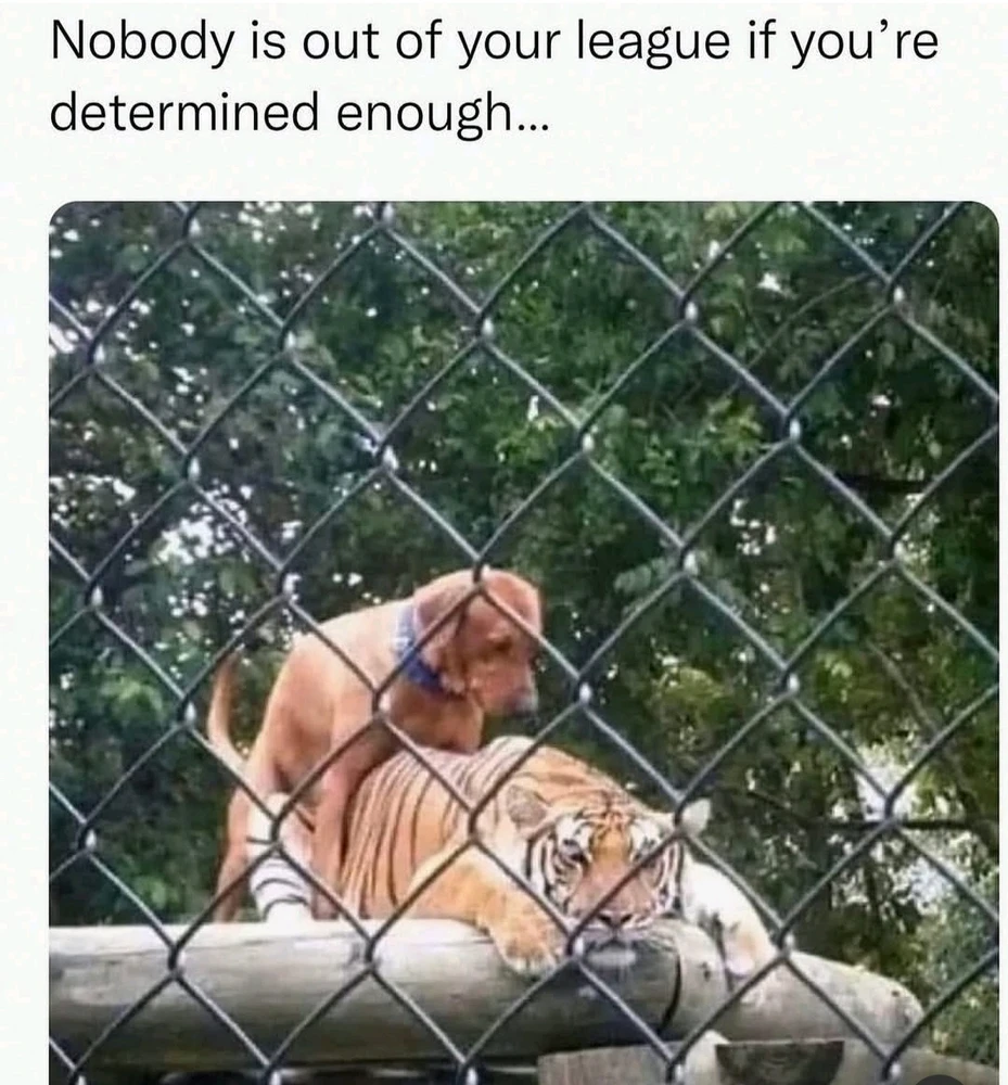 GIF uploaded by Geovannie Andrés