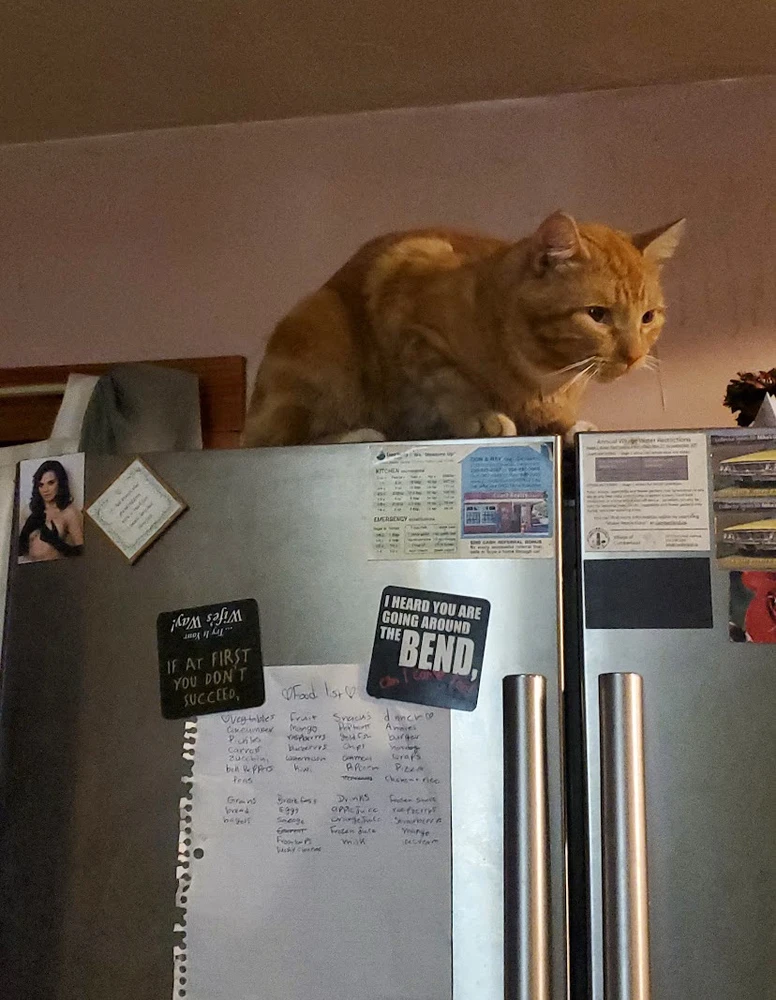 GIF uploaded by Lolita