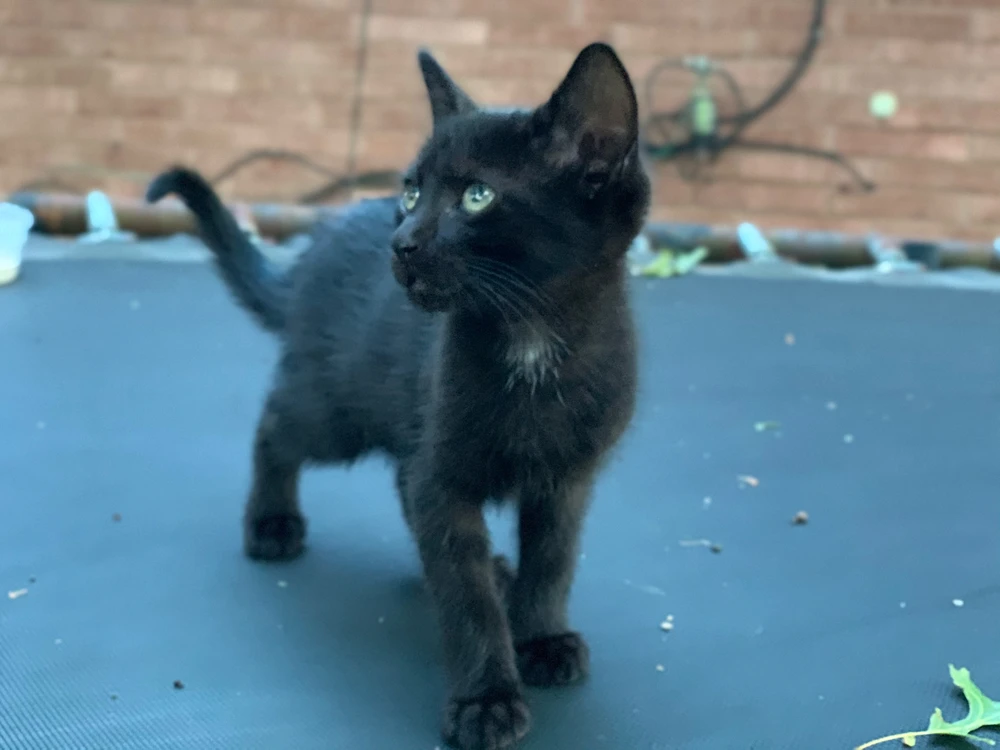 Image uploaded by Ethan