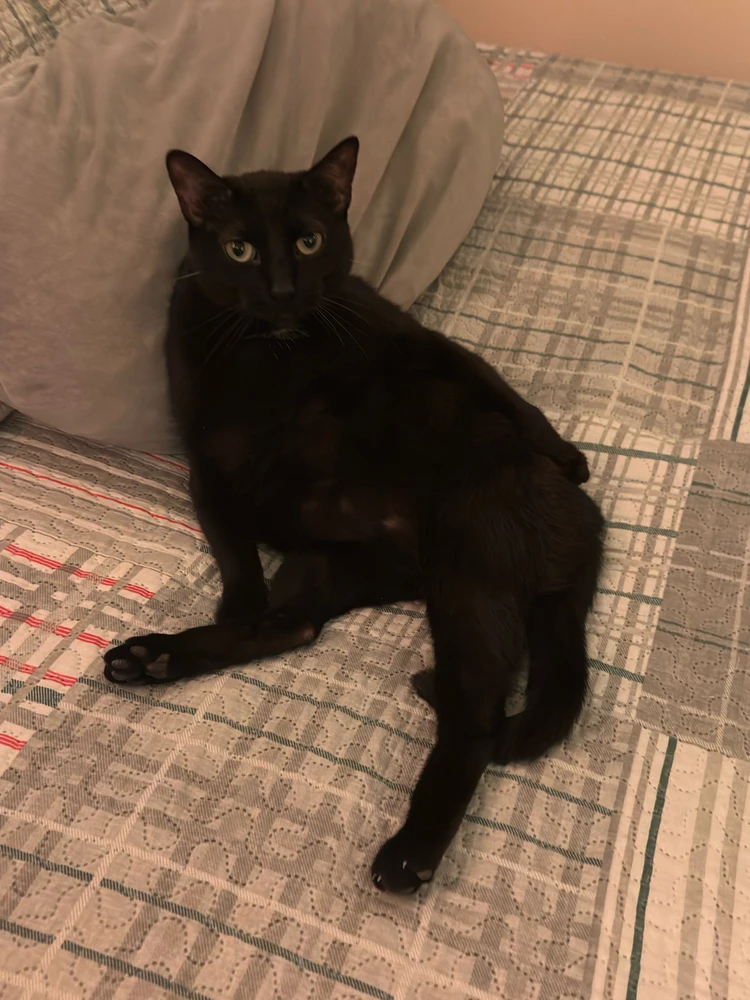 Image uploaded by Ethan