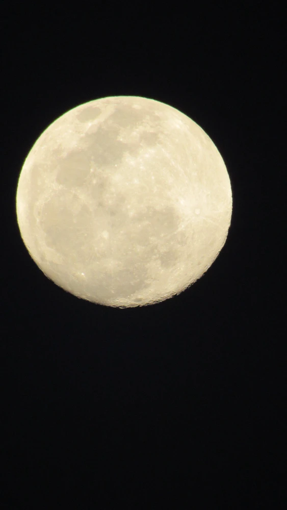 GIF enviado por Ramon