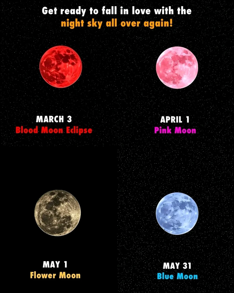 GIF uploaded by Normz