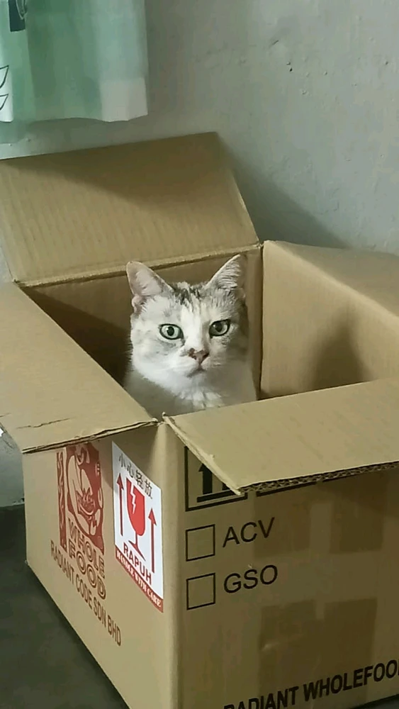 GIF uploaded by Jupik