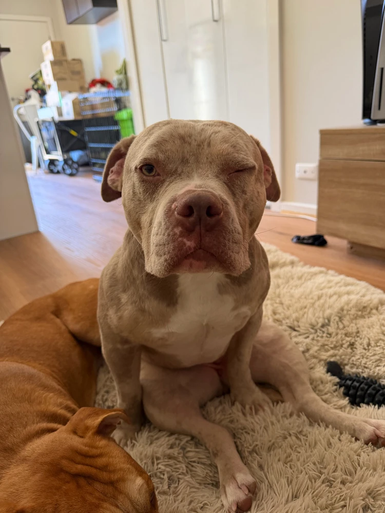 GIF uploaded by Robin