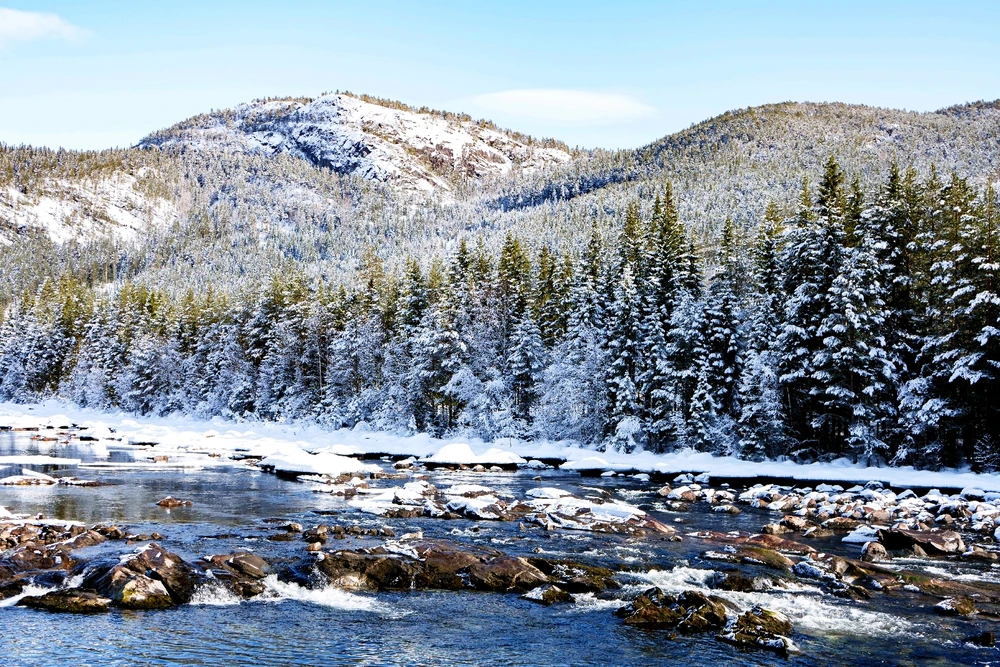 Zdjęcie dodane przez Adam