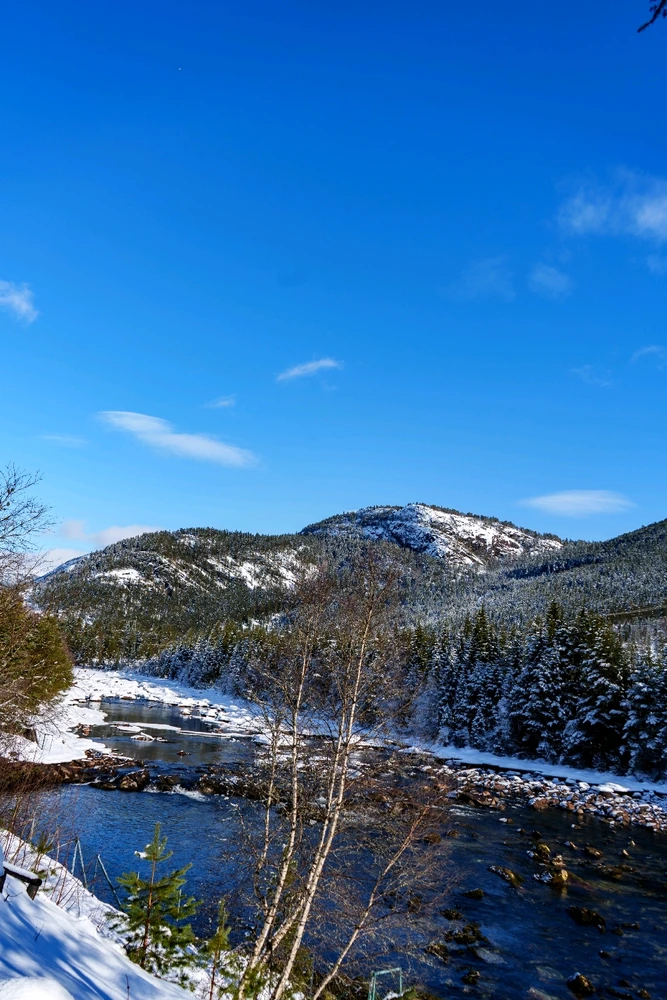 Zdjęcie dodane przez Adam