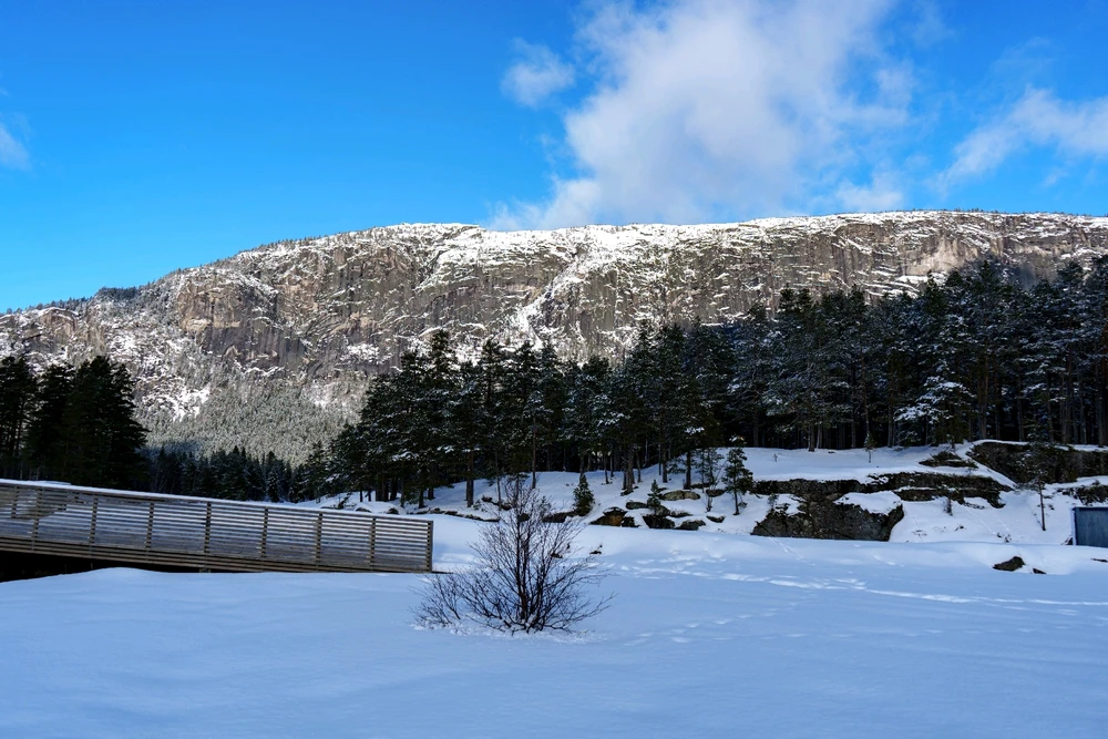 Zdjęcie dodane przez Adam