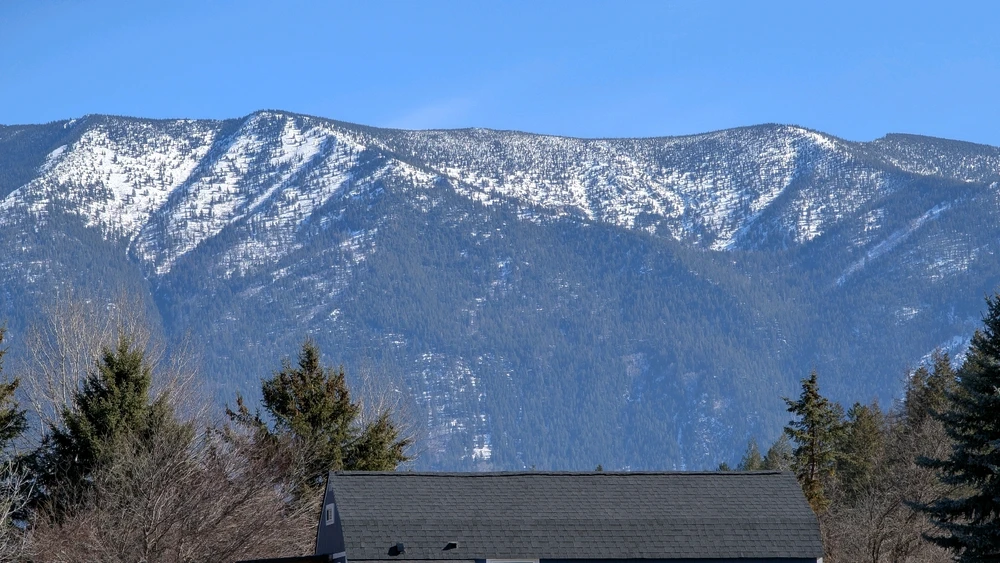 Image uploaded by RJ