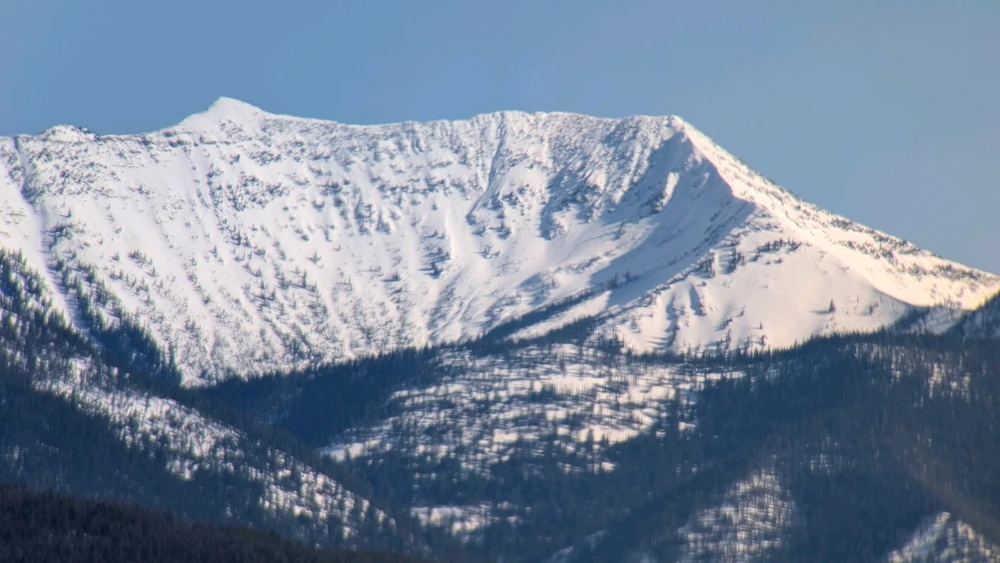 Image uploaded by RJ